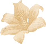 Deep Tissue Massage in Borivali East